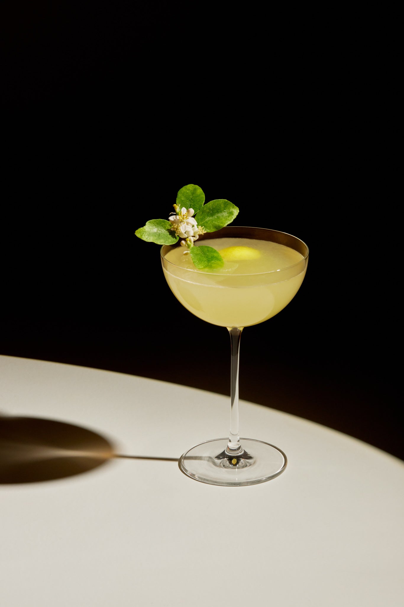 BEE STING – Disco Inferno